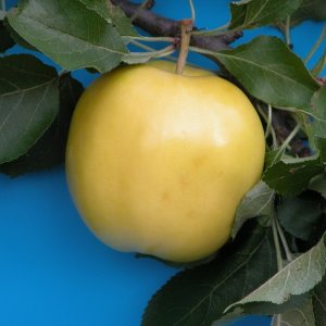  Родники