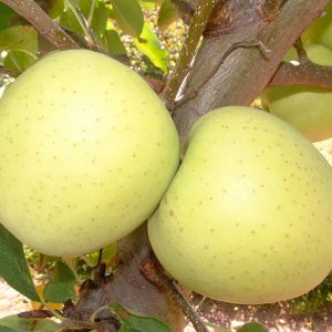  Родники
