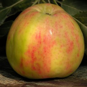  Родники