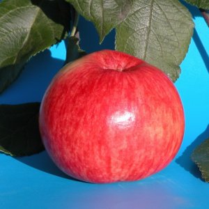  Родники