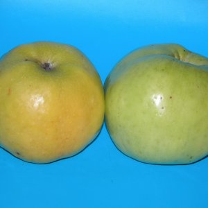  Родники