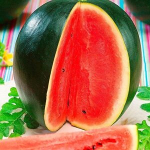 Арбуз Сахарный малыш Родники  Родники