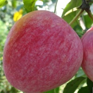  Родники