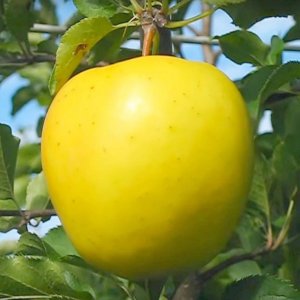  Родники