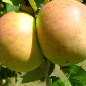  Родники