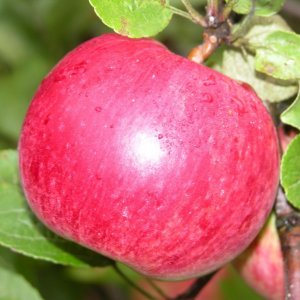  Родники