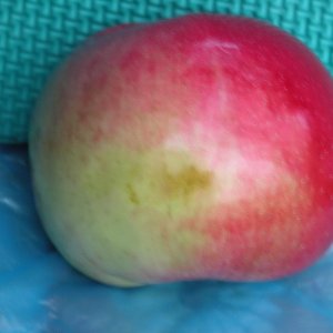  Родники