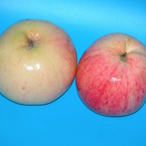  Родники