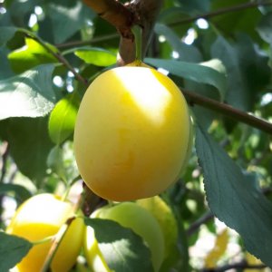  Родники