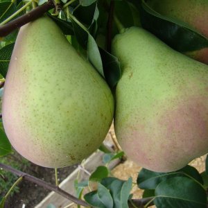  Родники