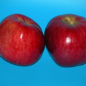  Родники
