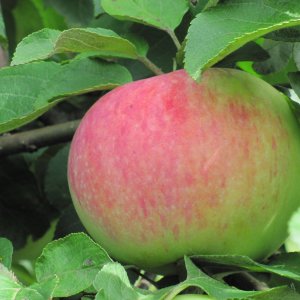  Родники