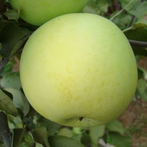  Родники